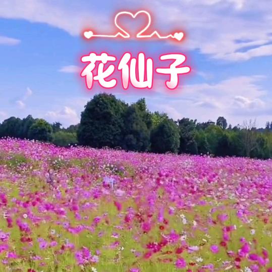 花仙子魔法屋