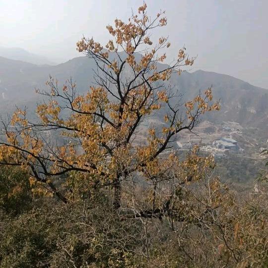 忘记过去🚀 展望未来