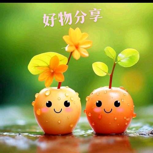 依然小铺