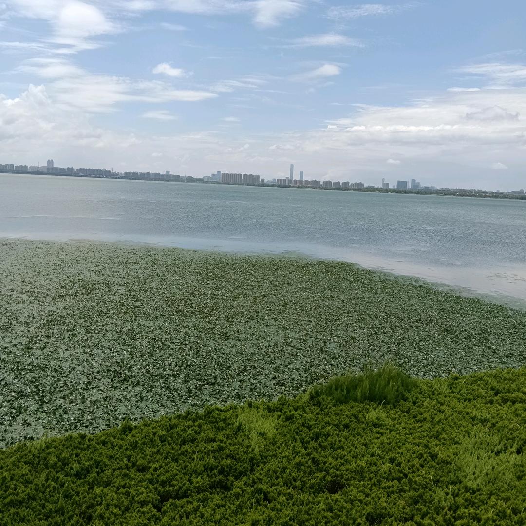 《一个被感情伤透心的，》