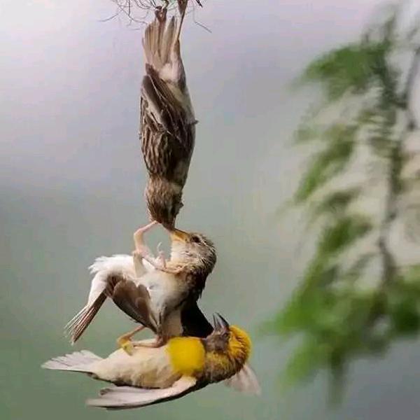 人生如梦