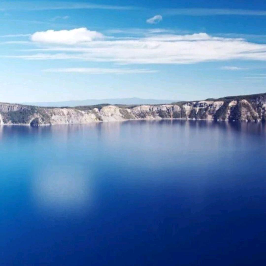 🌸青山绿水🌸