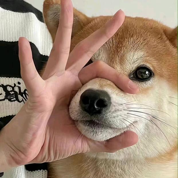 洛阳婴贝儿宜人路店雅楠