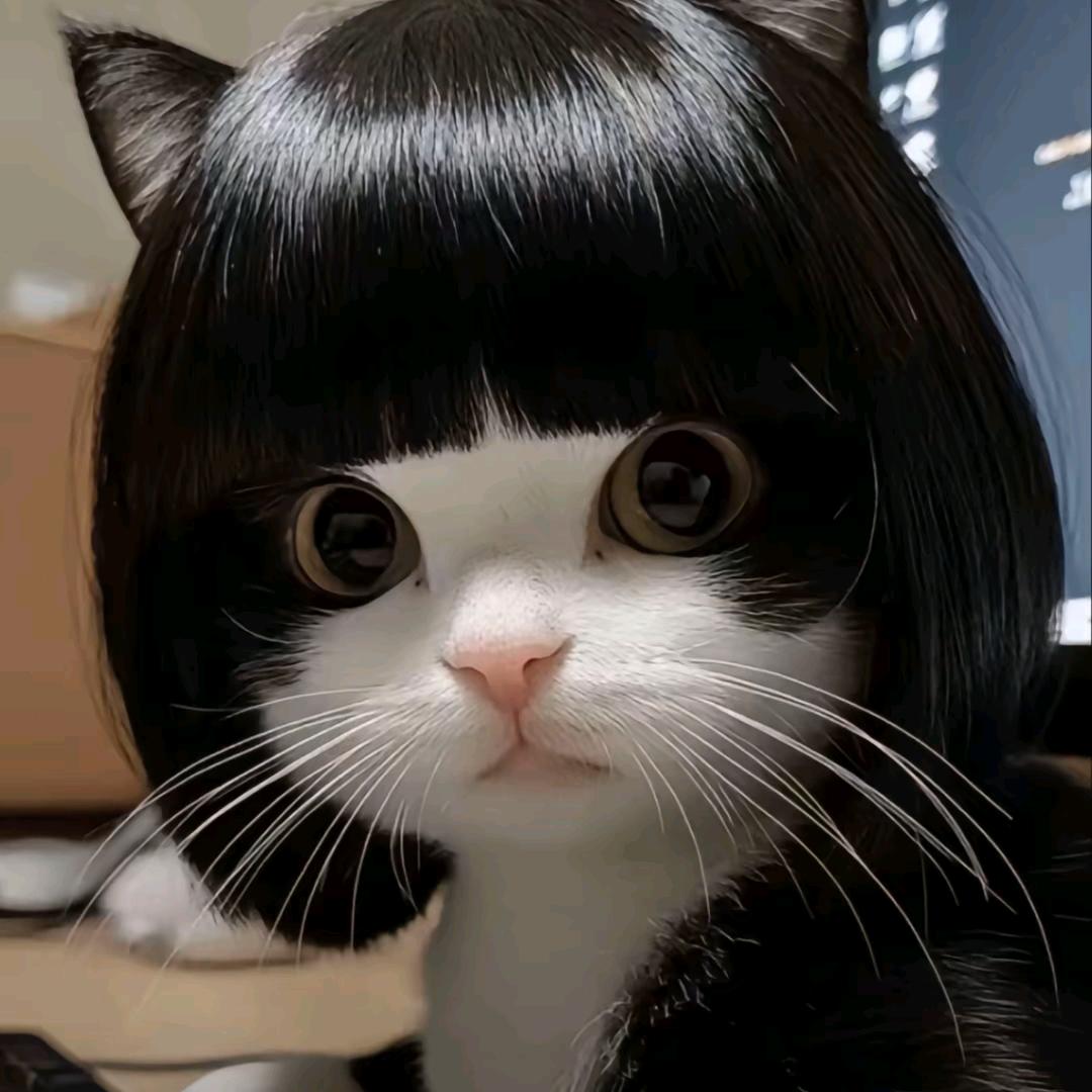 臭弟弟