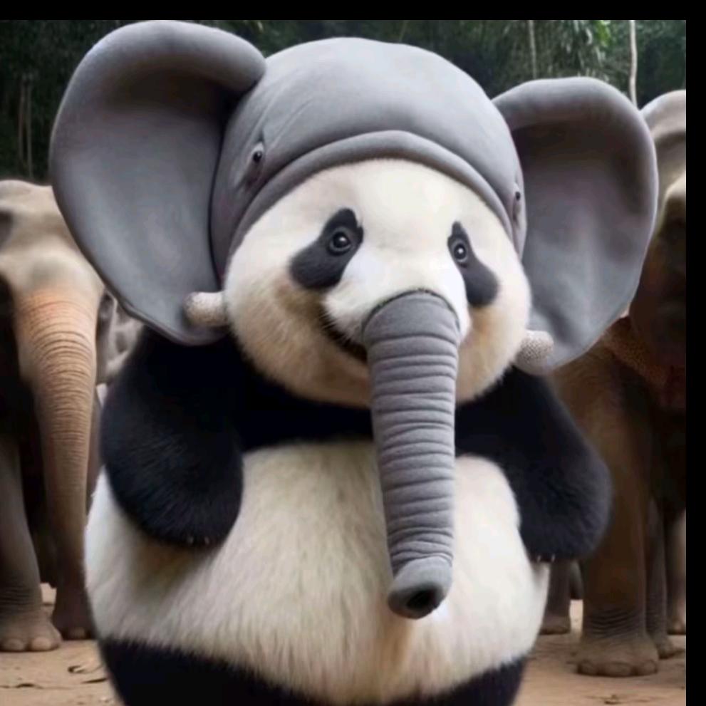 枫忆yi