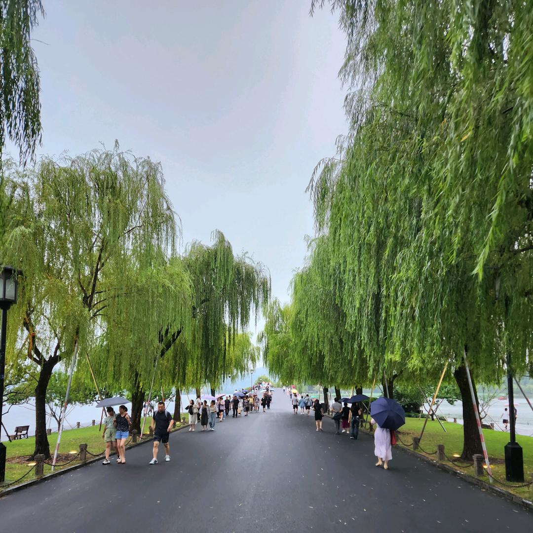 鸿运当头…