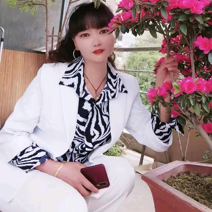 四朵金花