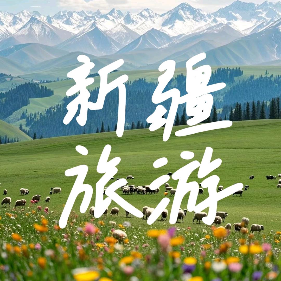 新疆旅游-甄选品质团