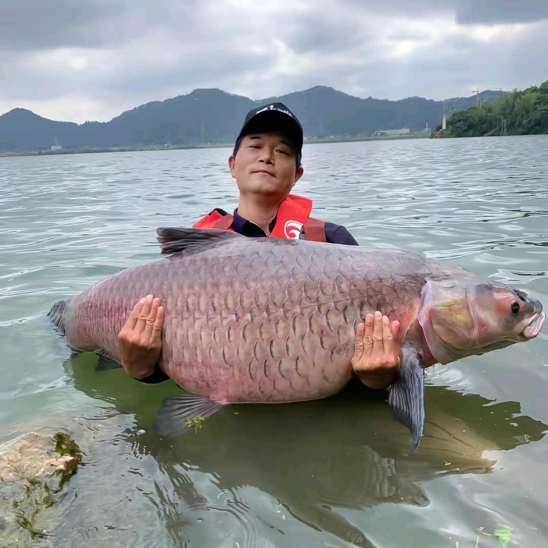天元师弟爱钓鱼