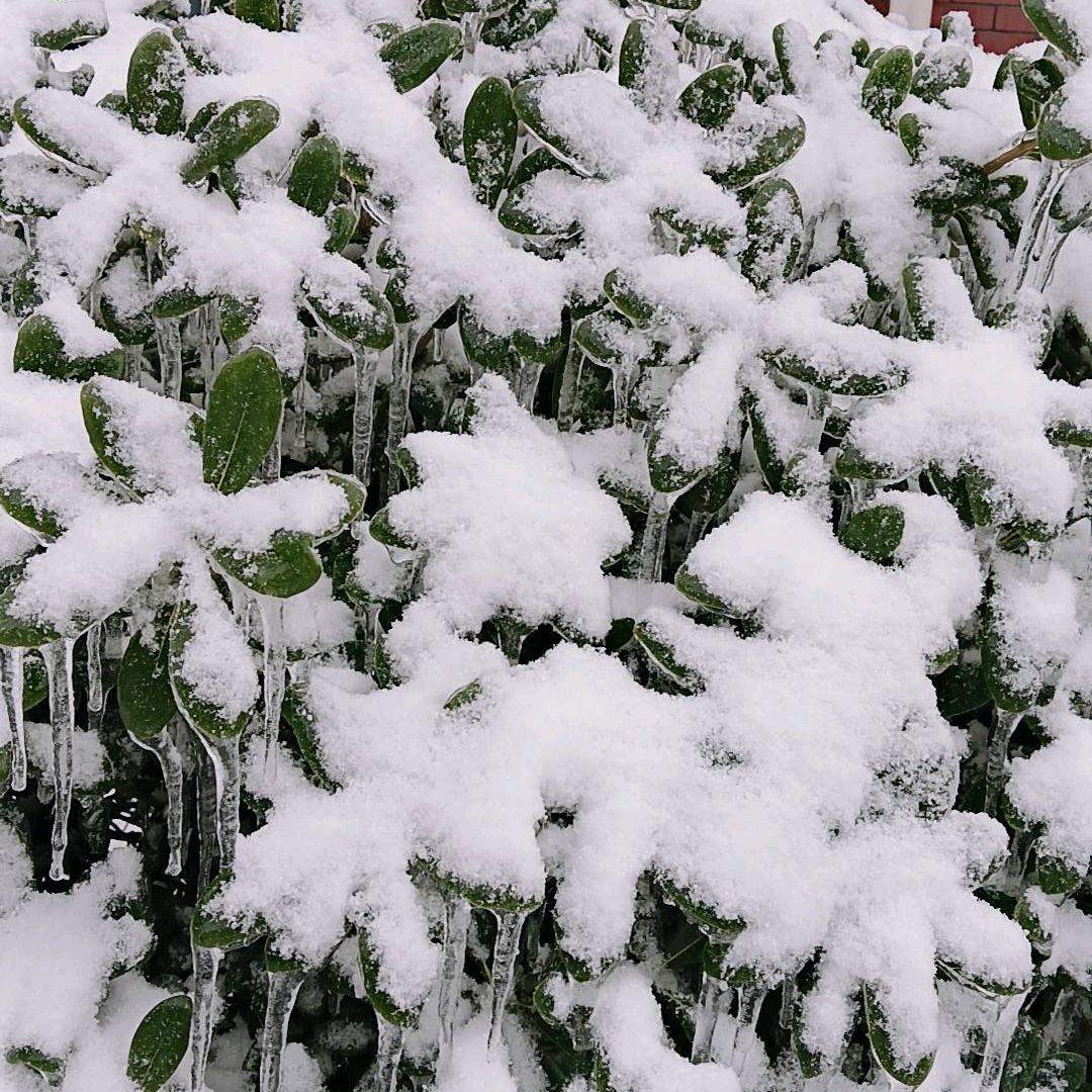 好酒杜康，注意甄别