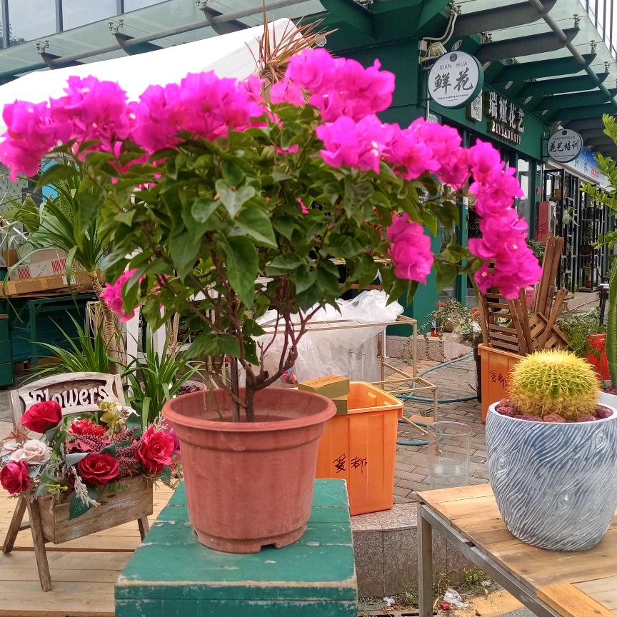 云南保山，打工大姐姐