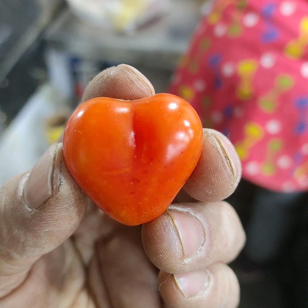 宏霖水果批发小时达