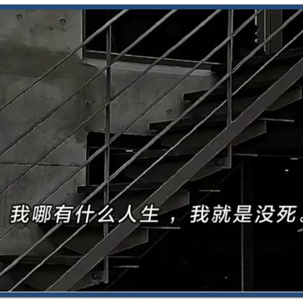 阳哈哈