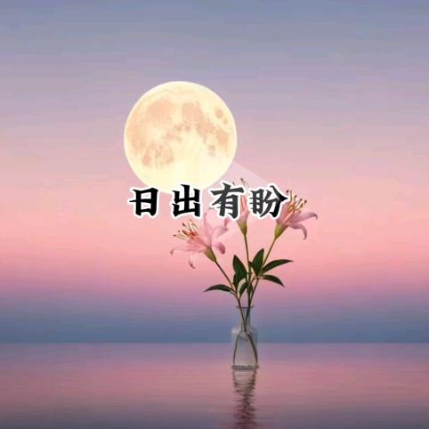 新疆资料主理人—盼盼