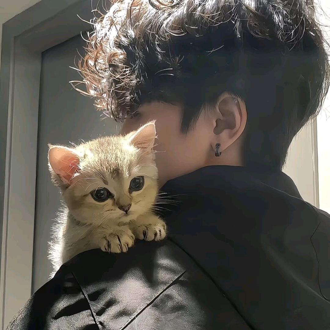 宇宙无敌暴龙战士..