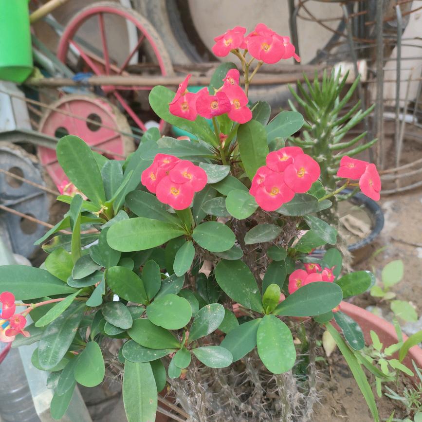 我爱你么么哒😘😘😘😘😘😘😘