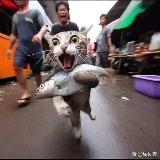 亮