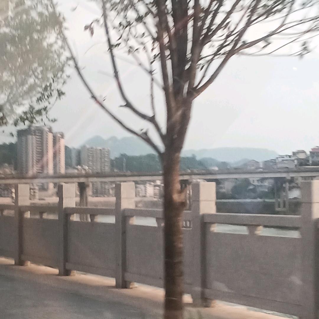 努力干小陈