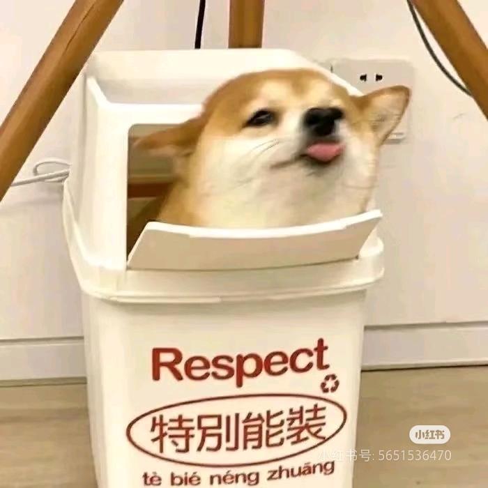 虾米