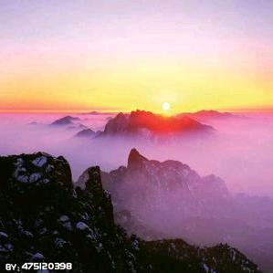 紫气东来🌻
