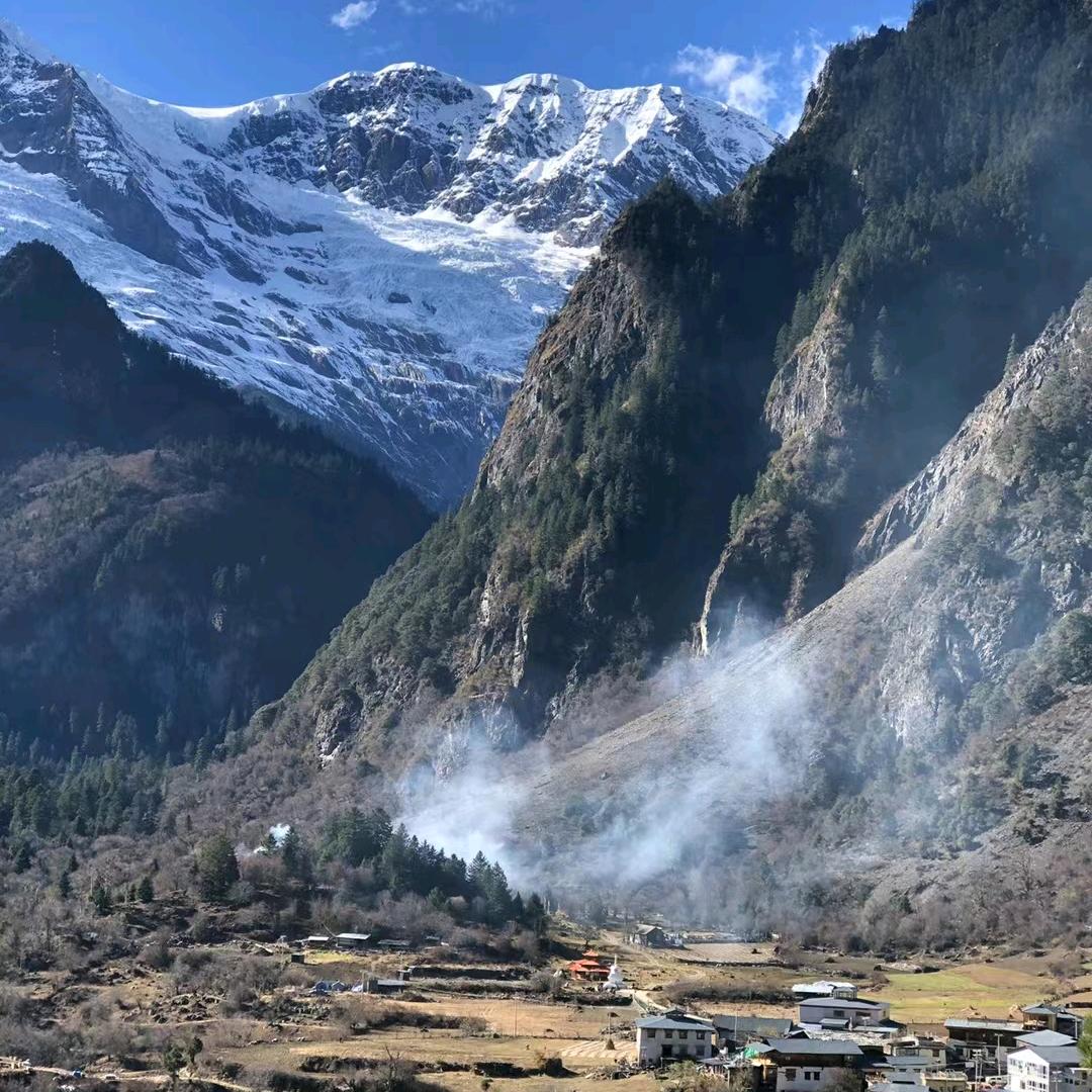 小虎哥驾到