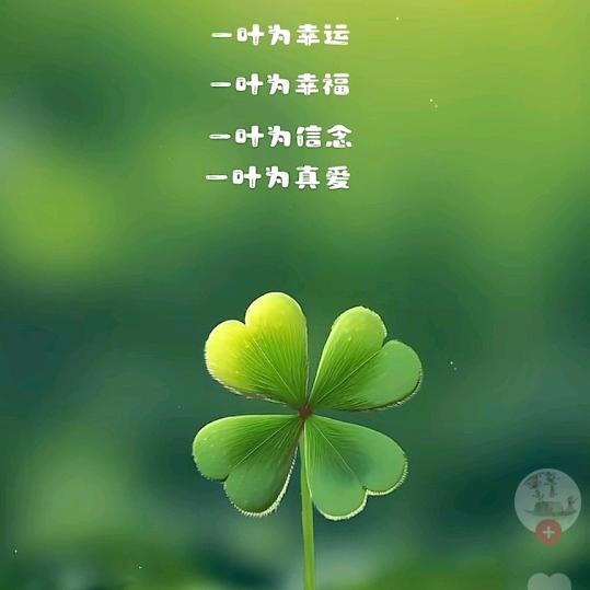小Su苏