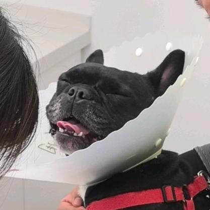 转儿