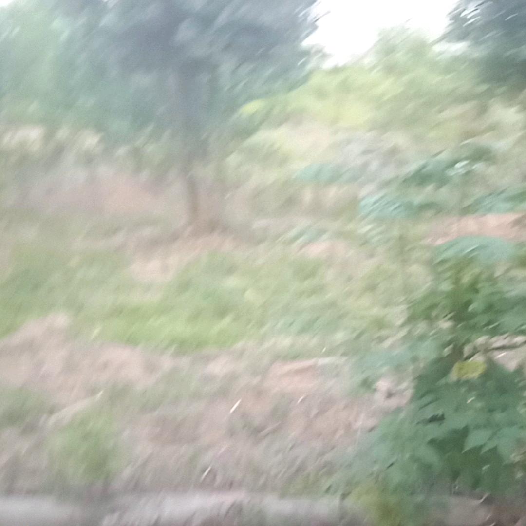 用户6038799653607