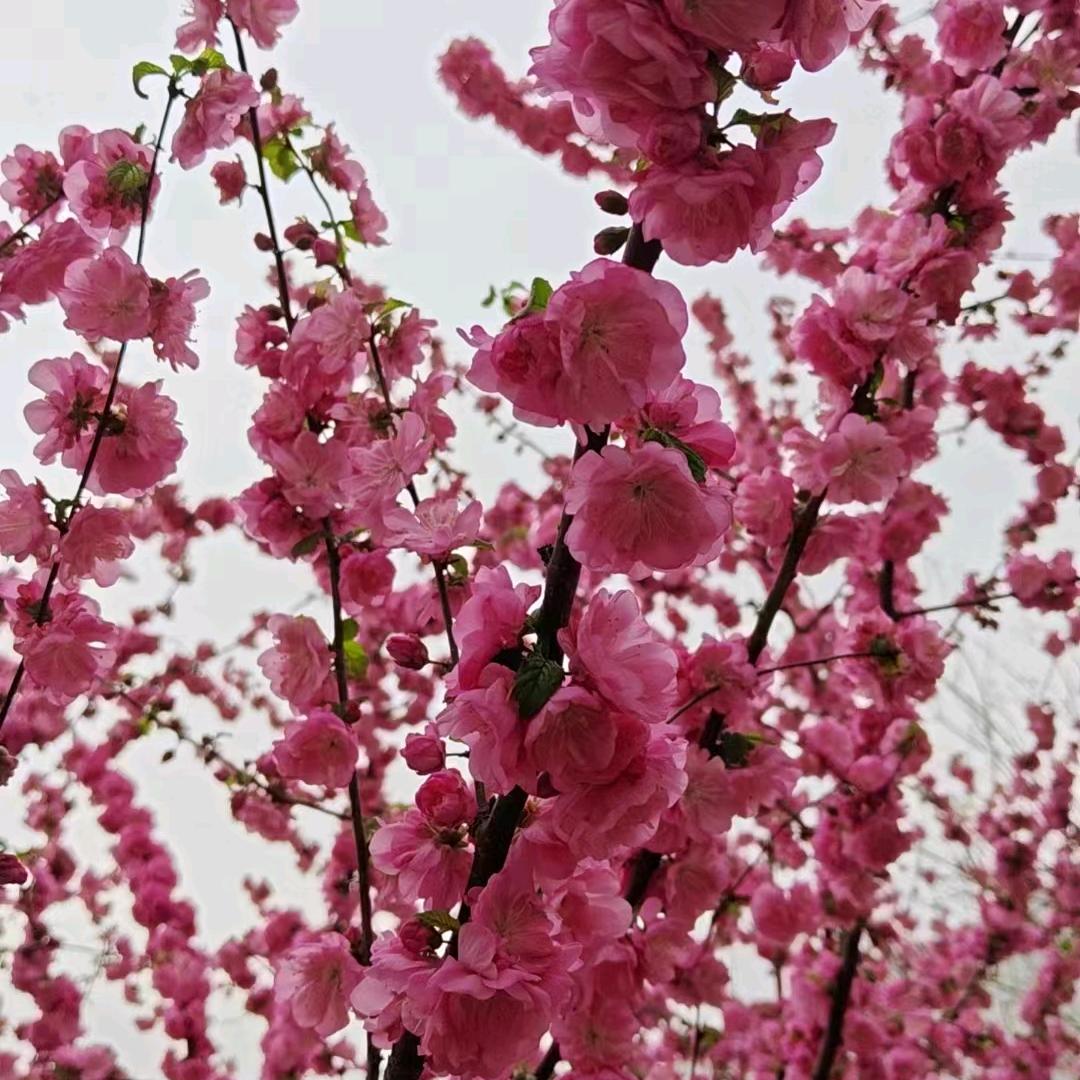 ❤一生有你的陪伴❤