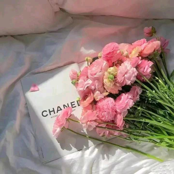 z聊不完的曾经