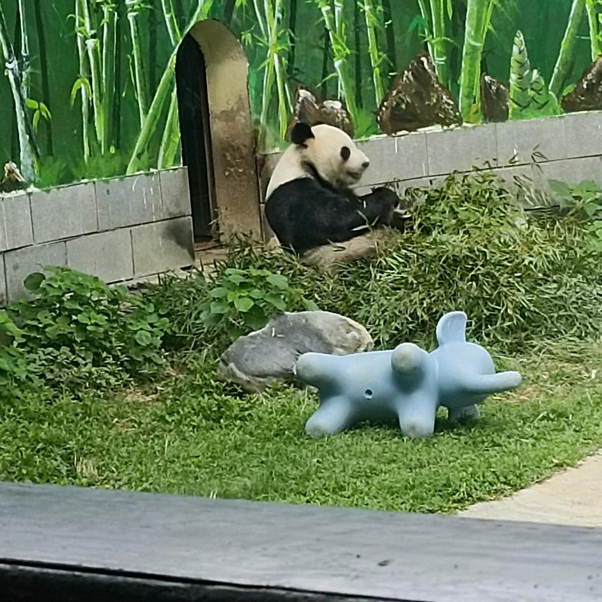 就这样呀