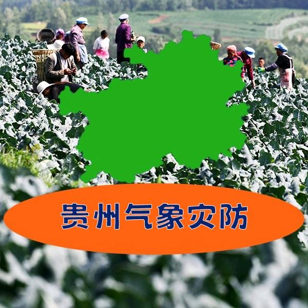贵州气象灾防（气象助农）