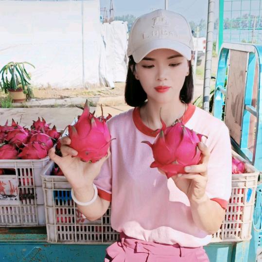 滁州市～珠龙火龙果采摘园