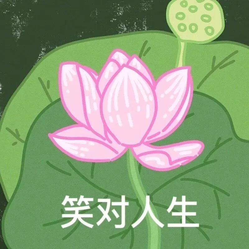 今朝🐰