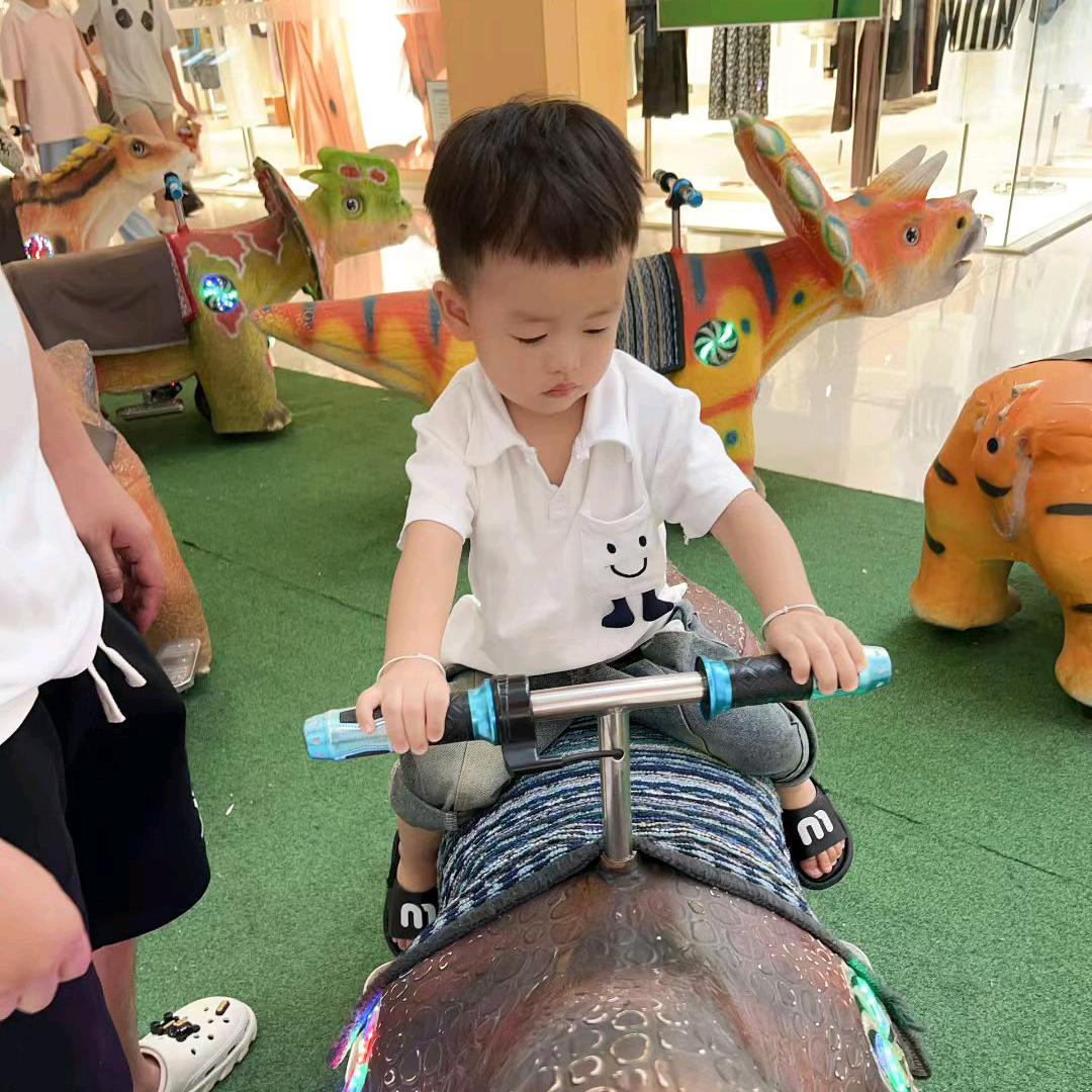 时光不老。