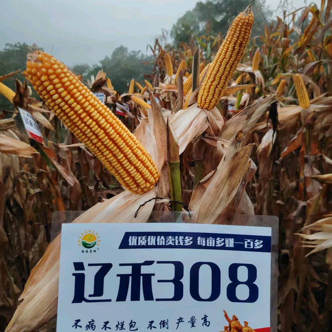 三官寺勇哥农资（谢绝连赞）