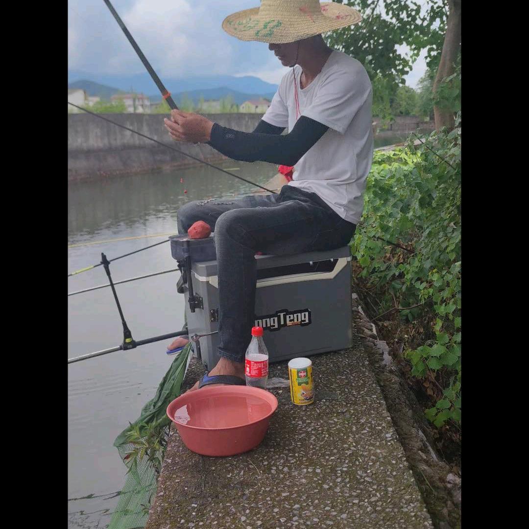 毛少