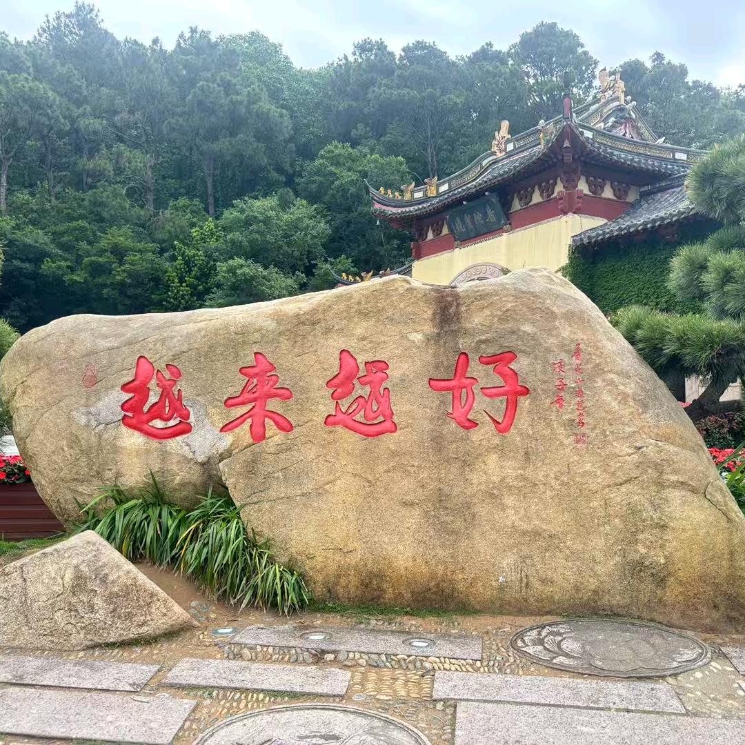 服装面料   里料