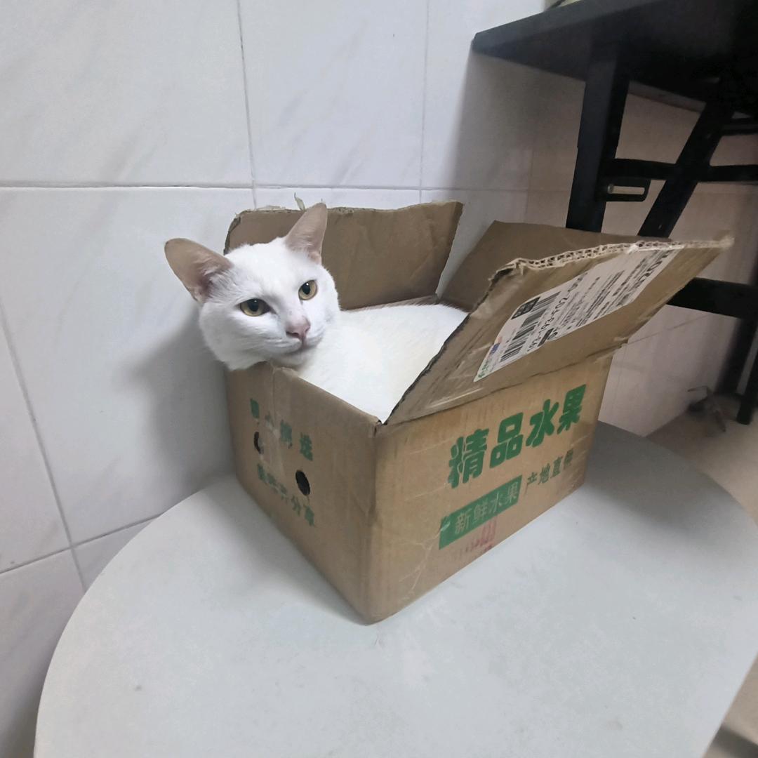 无问无畏为去去