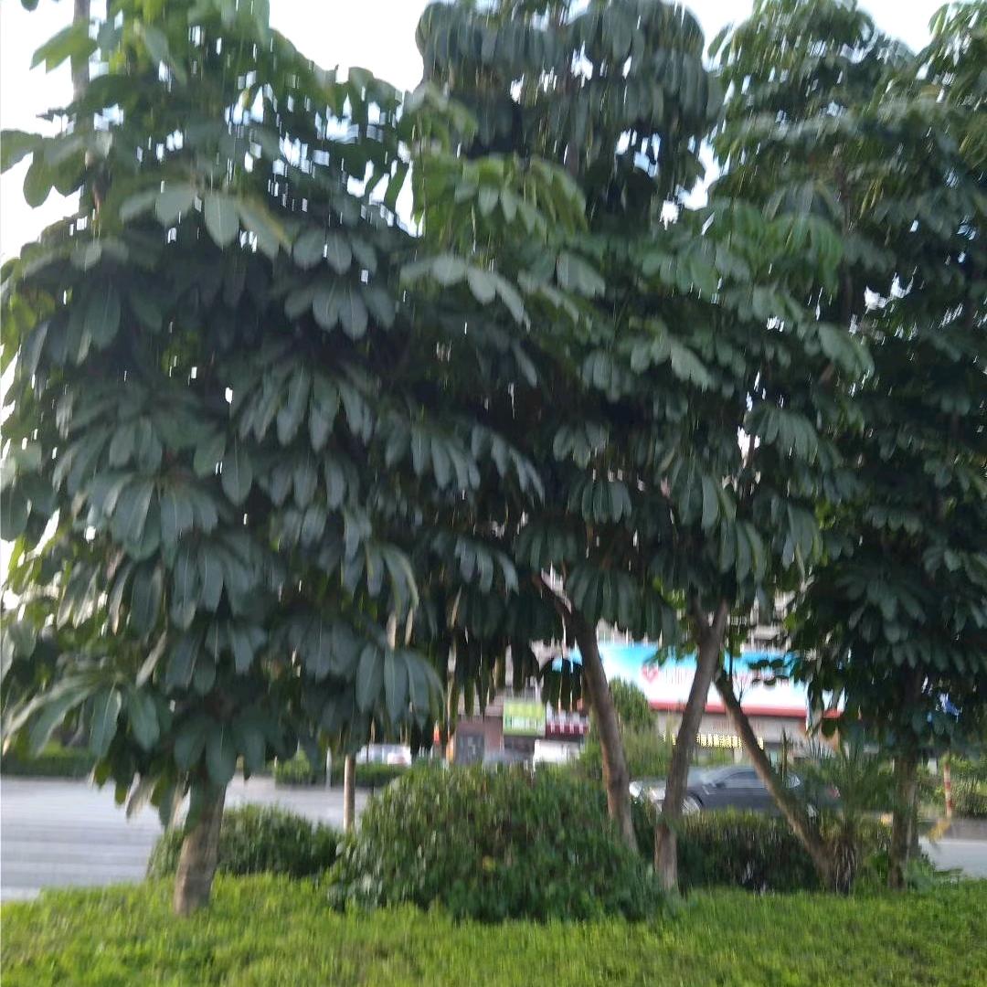 开心过好每一天邓杨