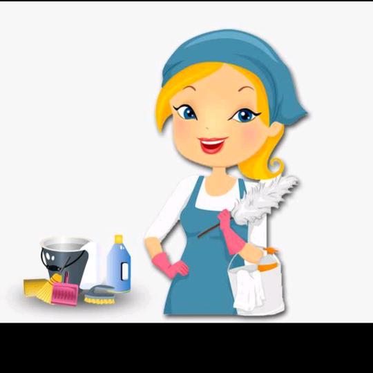 保定保洁清洗收纳