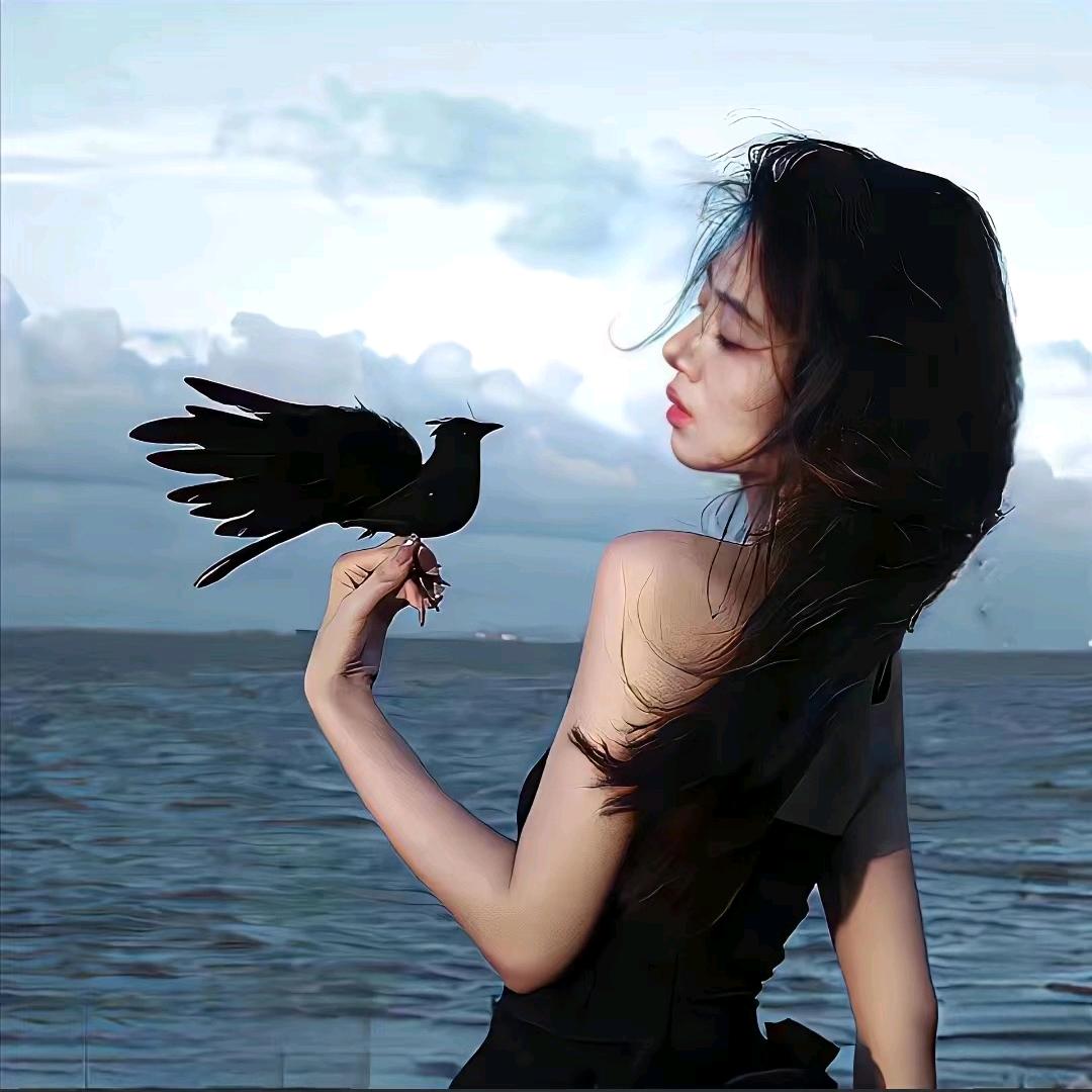 嬡泩萿ゝ嬡洎己