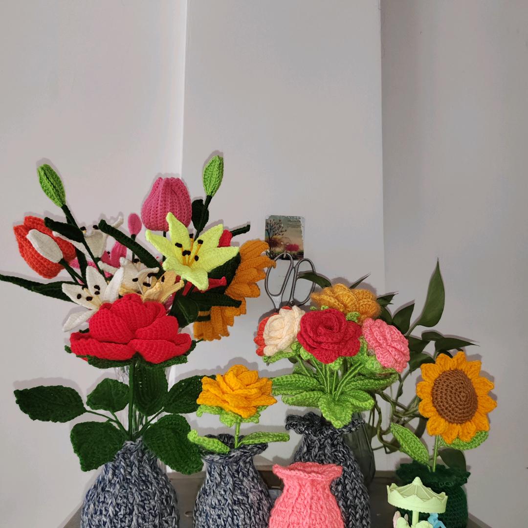 计天菊