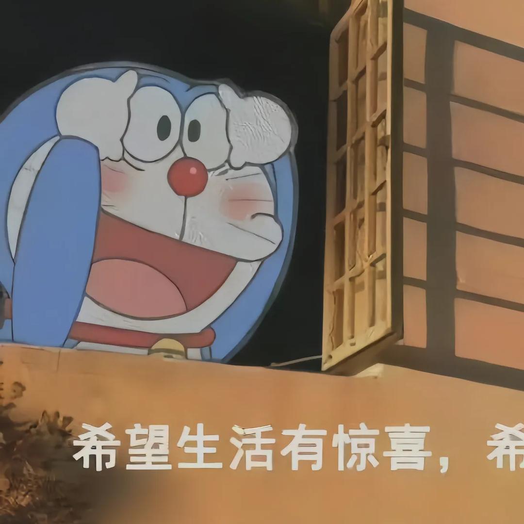 上岸天使🍑