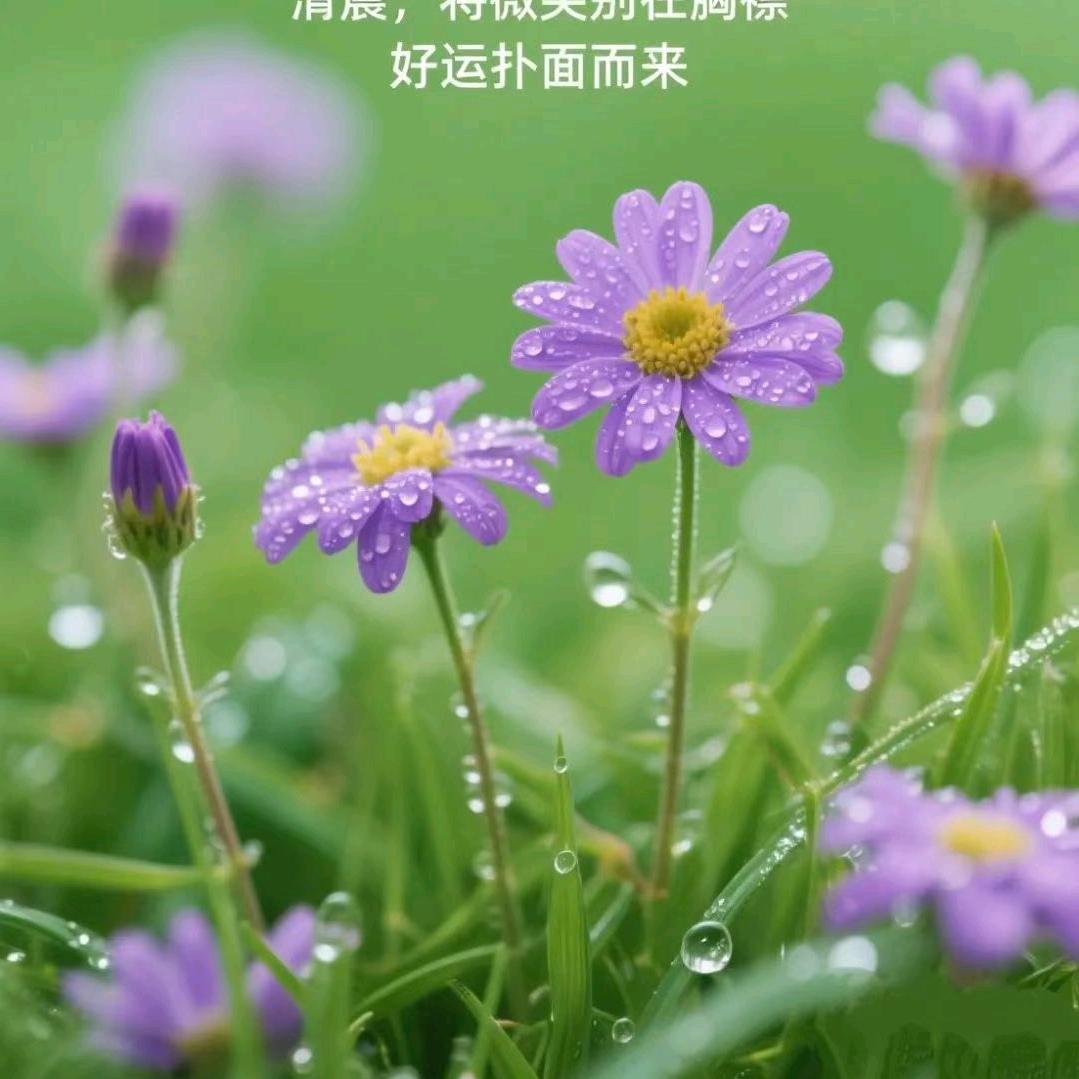 良尚迎家政服务