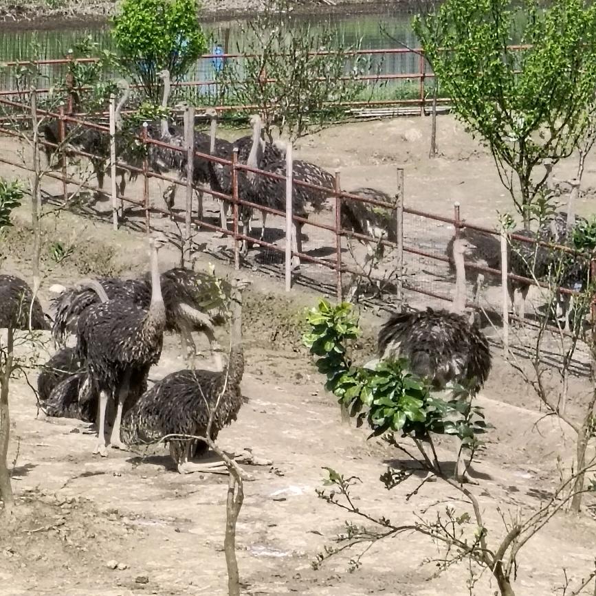 生活输给了现实