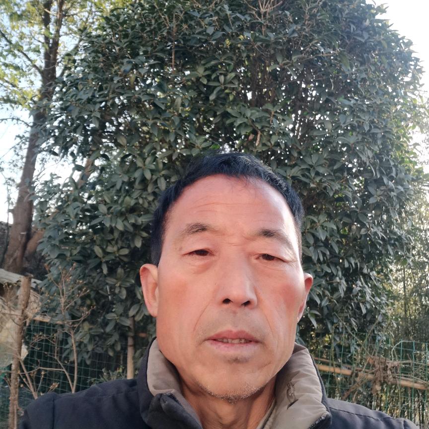 2888一帆风顺