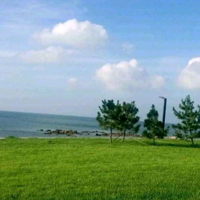 海阔🐬天空🕊️