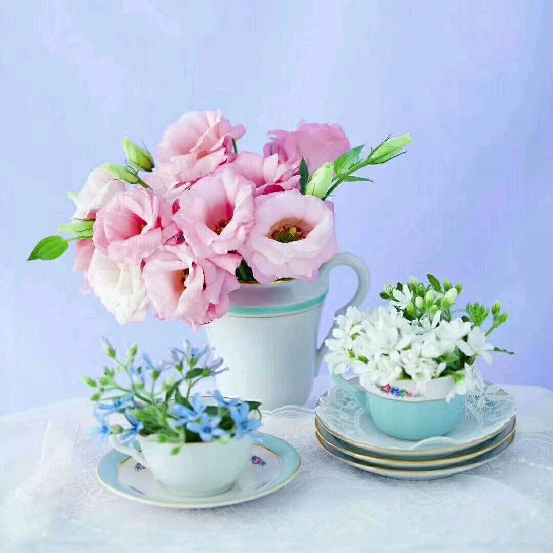 ᰔᩚ᭄心想💞ℛ事陈꧔ꦿᩚ࿐🕊