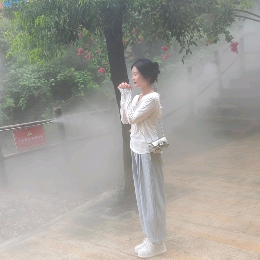 叮当猫🐱